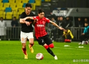 开云官网-强队遭遇困境，教练面临考验