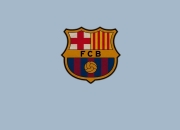 开云足球直播-诺里斯高光时刻，法拉利逆转红牛二队的战术博弈