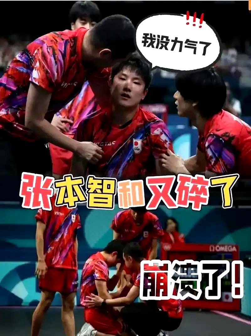 包含瑞典乒乓球队鏖战法国乒乓球队，张本智和高光表现的词条