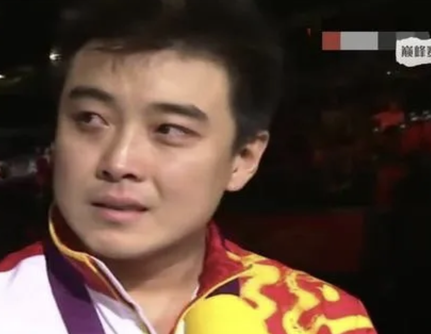 德国乒乓球队逆转中国乒乓球队，王皓惊艳世界的简单介绍