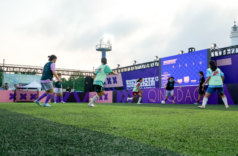 风云激荡!国际足球场上的精彩竞技的简单介绍 风云激荡!国际足球场上的精彩竞技的简单介绍