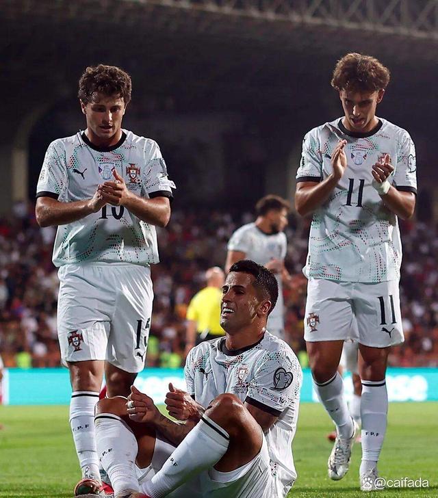 亚美尼亚战平芬兰在欧洲杯预选赛中比赛