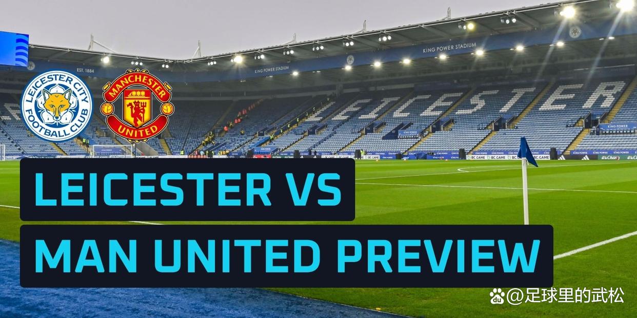 莱斯特城主场不敌,遭遇联赛连败 莱斯特城主场不敌,遭遇联赛连败