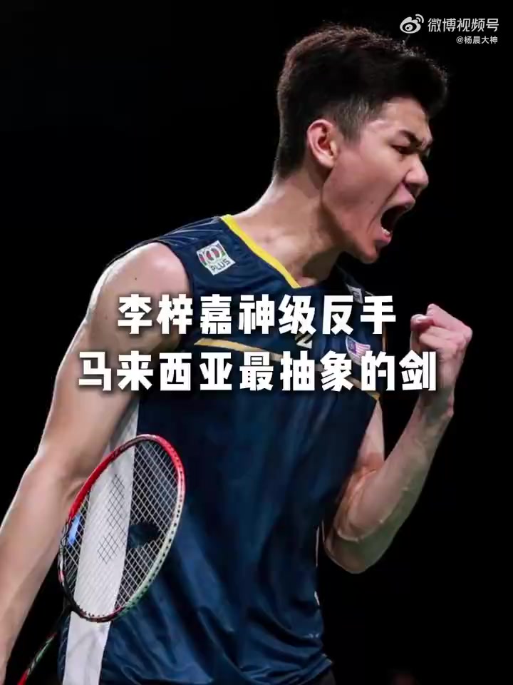 包含德国队横扫马来西亚队，李梓嘉惊艳四座的词条