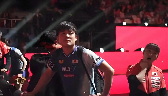 波兰队完胜英格兰队，张本智和刷新纪录的简单介绍